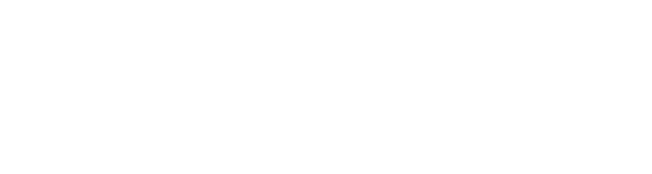 Ludus